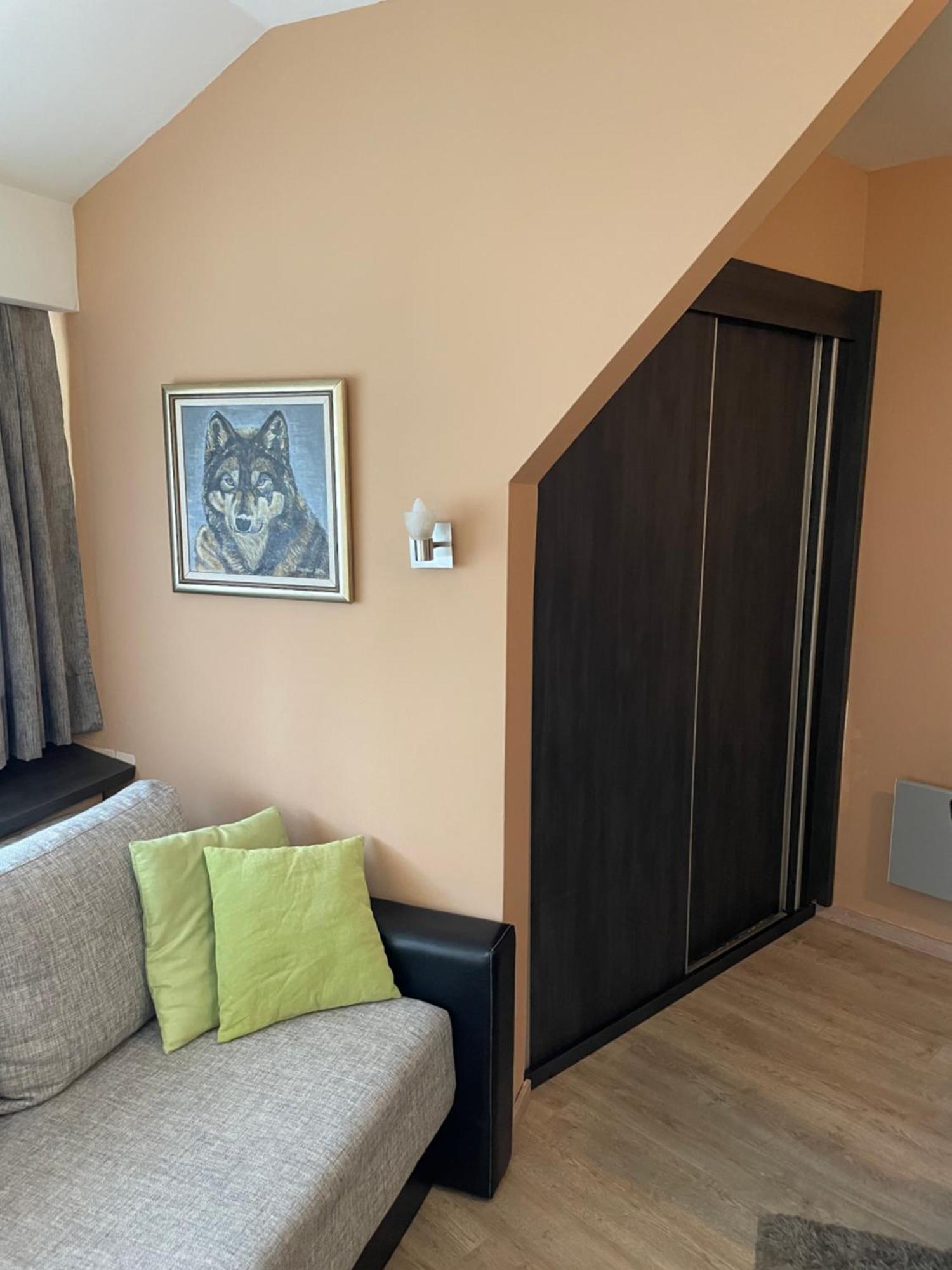 Apartment Brvenik Plus Kopaonik Exteriér fotografie
